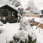 Snow in Chemainus, Croft and Saltair