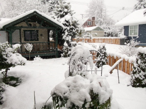 Snow in Chemainus, Croft and Saltair