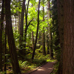 Francis King park saanich victoria vancouver island now travel and entertainment and travel guide