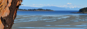 Tourism & travel.  Parksville, Qualicum Beach. Vancouver Island Now. the entertainment and travel travel guide to Vancouver Island, BC. Robert Bateman Centre