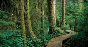 Tourism & travel.  Parksville, Qualicum Beach. Vancouver Island Now. the entertainment and travel travel guide to Vancouver Island, BC. Robert Bateman Centre