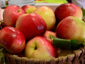  Salt Spring Island  apple festival Tourism & travel.  Vancouver Island Now. the entertainment and travel travel guide to Vancouver Island, BC. 