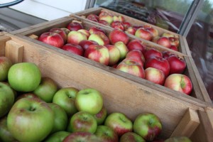 Salt Spring Island apple festival Tourism & travel. Vancouver Island Now. the entertainment and travel travel guide to Vancouver Island, BC.